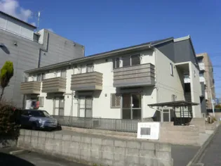 アラシードの画像