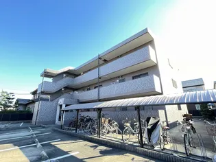 ドリーム來の画像