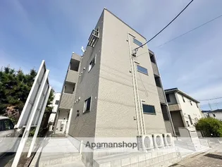 TIDY大江の画像