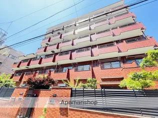 グレース河野の画像