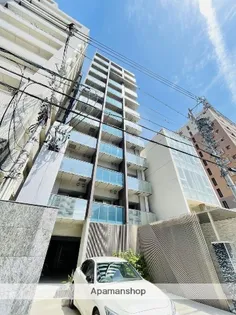 HIBINO RISEの画像