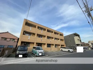 ピアリー外新の画像