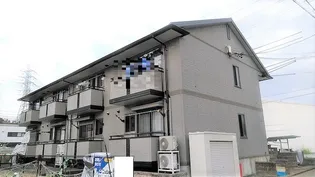 ルミエールの画像