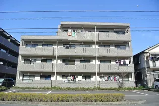 シードルハイツ Ⅲ【4A号室】の外観