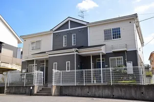 ラファエルBの画像