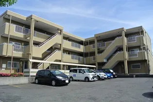 エステート光の画像