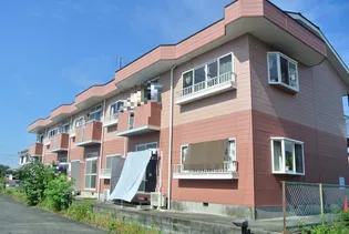 ジュネスアノンβの画像