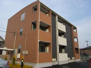 ハイツネゴシの画像