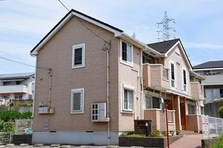 プリムローズT Kの画像