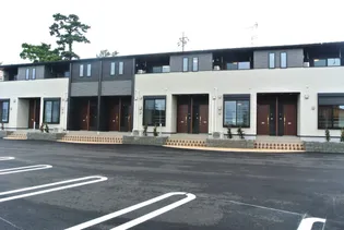 向日葵之音の画像