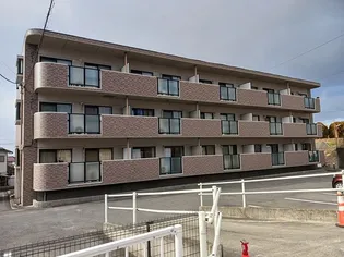 フローレンスA Hの画像