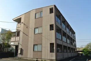 グレイス コート樹木の画像