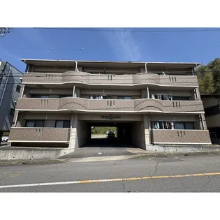 ファンシアの画像