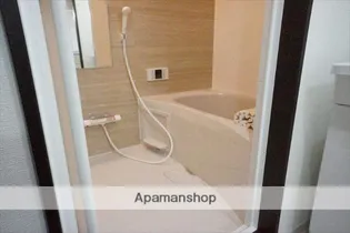 AXIS MEISEI【4 C号室】の風呂