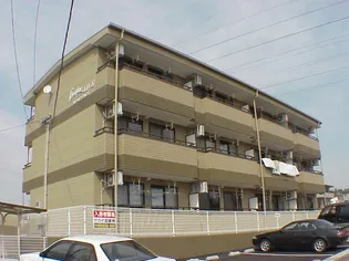 LIMPIA LIVEの画像