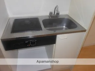 セントラルリバーⅡ【2階】のキッチン