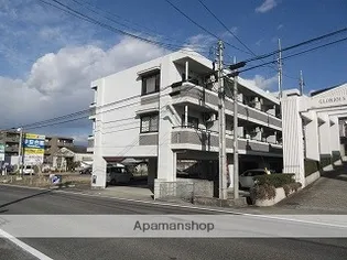 ドエル白土の画像