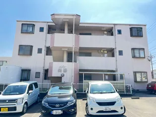 メゾン晃梅【3階】の外観