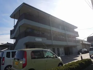 オアシスの画像