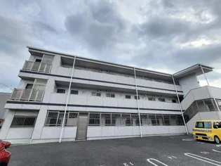 ピュール レフィナードの画像