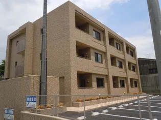 ブラウニーの画像