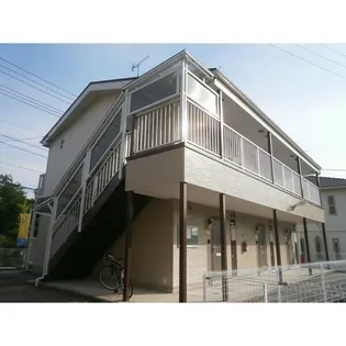 SURPLUS ONE DREAMの画像