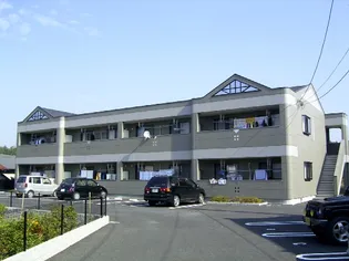 メイプルの画像