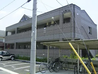 シュティーアの画像