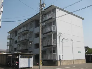 サンライズカトーの画像