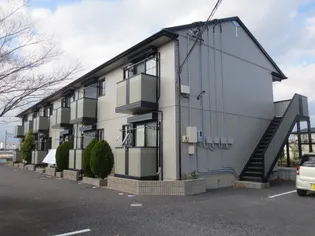 サングリーンの画像