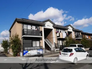 コンフォールの画像