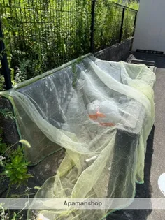 エスポワール【1階】のその他画像