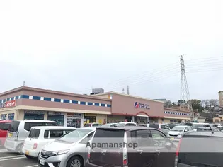 サフィニア F【3階】の周辺