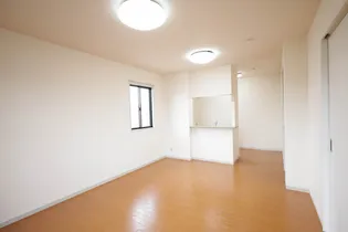 VANTAGE A・B棟【B-201号室】の内装