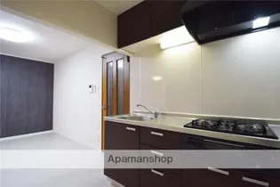 リバーサイドテラス【2階】のキッチン