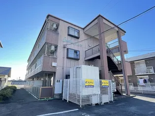 リンピアベルテの画像