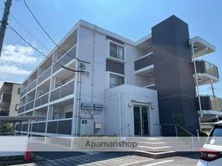 BOA SORTE KAZUの画像