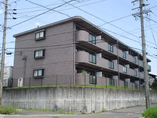 VELL DE MEUREの画像