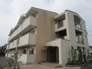 フラン アンジュの画像