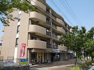 FORCEの画像