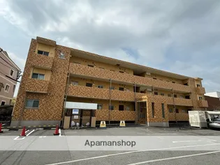 T フェアリートキワの画像