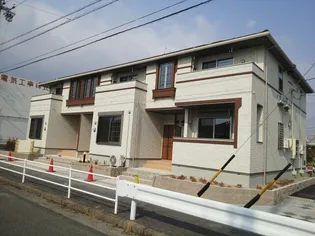 シンシアの画像