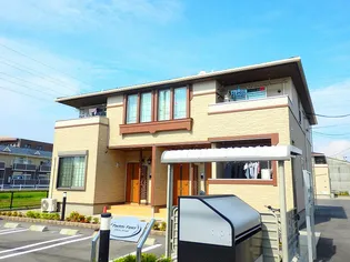 パディー フィールドAの画像