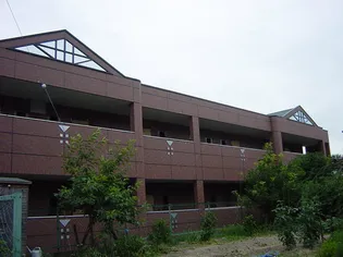 SUN BRIGHT さかⅡ【1階】の外観