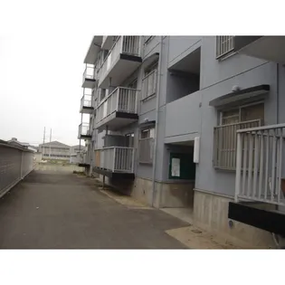 サンライズカトー【305号室号室】の周辺