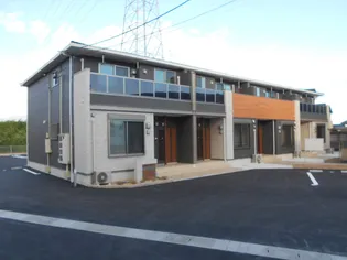 クリサンセマム ライズの画像