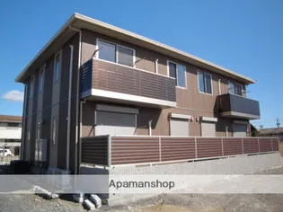 オリーブの画像