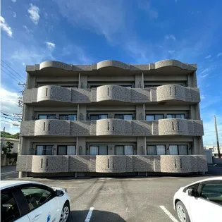 エステーラの画像