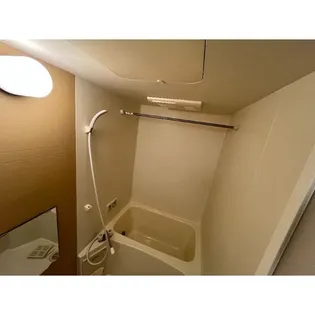 プリリアンスTAKEKOSHI【5階】の風呂