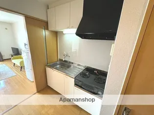 アルベールA棟【2C号室】のキッチン